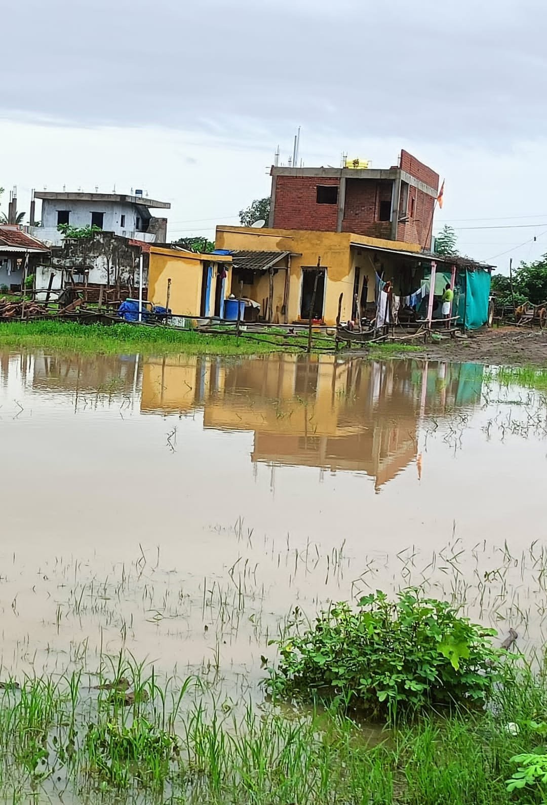 పారిశుధ్యం లోపించిన బొర్లగూడెం