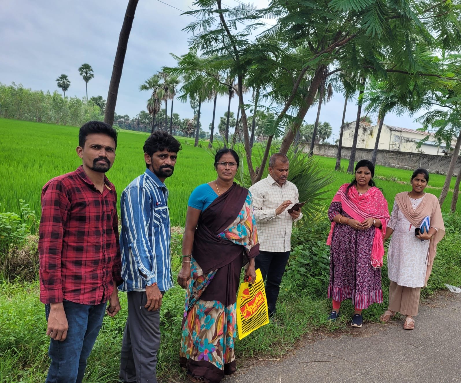 వరి పంటలను పరిశీలించిన జిల్లా వ్యవసాయ అధికారి