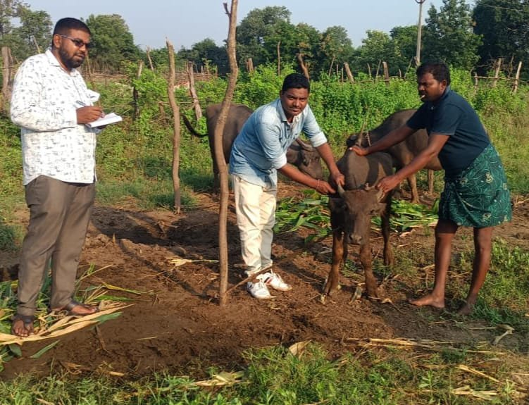 పాడి రైతులు అప్రమత్తంగా ఉండాలి