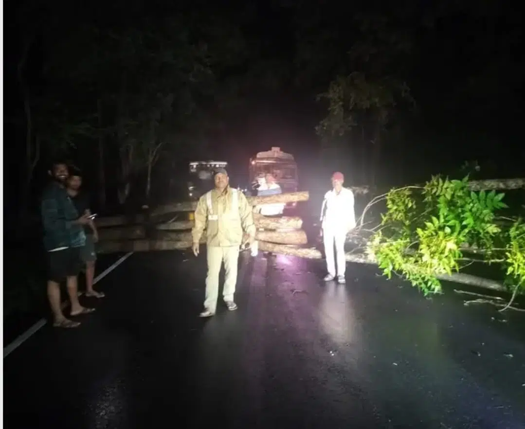 హైవేపై వర్షాలతో కూలిన చెట్లను తొలగింపు