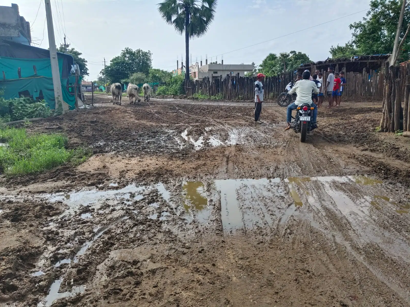 కన్నాయిగూడెంలో వాన పడితే వరదలా మారే వీధులు