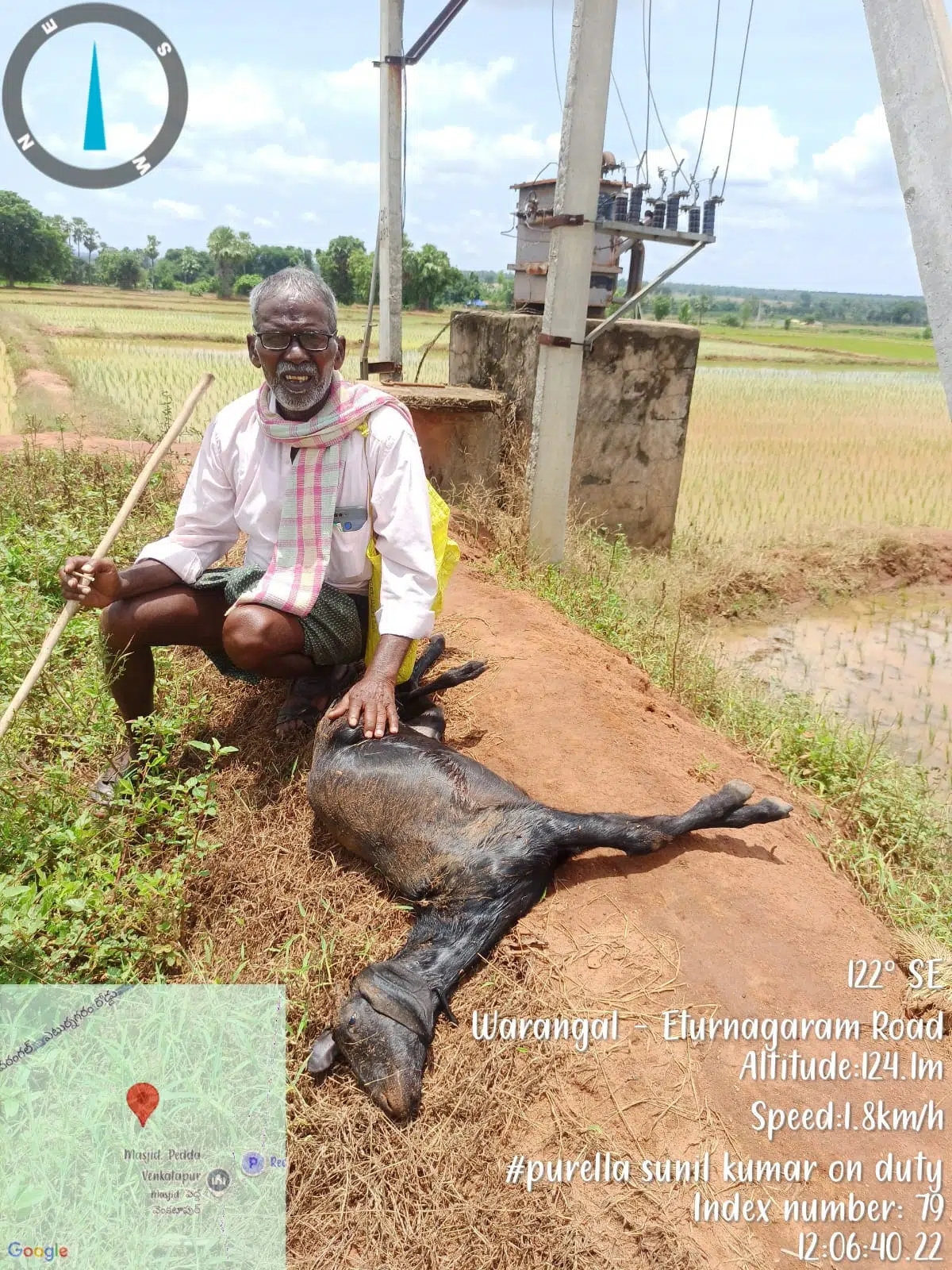 విద్యుత్ షాక్‌తో మేక మృతి