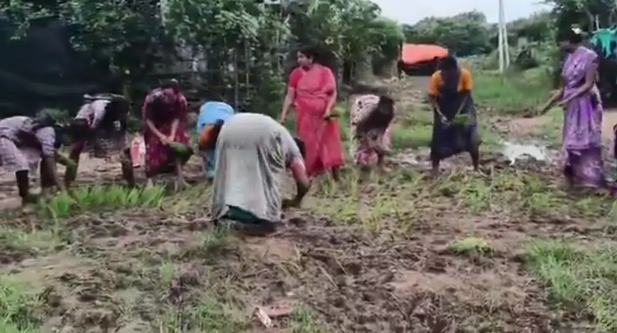 మచ్చాపూర్ డబుల్ బెడ్ రూమ్ కాలనీలో రోడ్లులేక బురదలో కూరుకుపోతున్న జీవితం