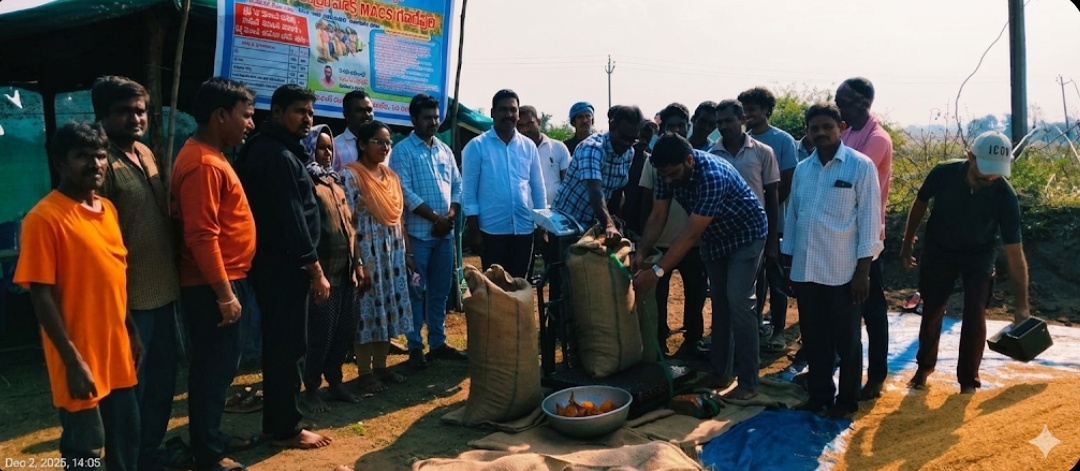 ధాన్యం కొనుగోలు కేంద్రం ప్రారంభం