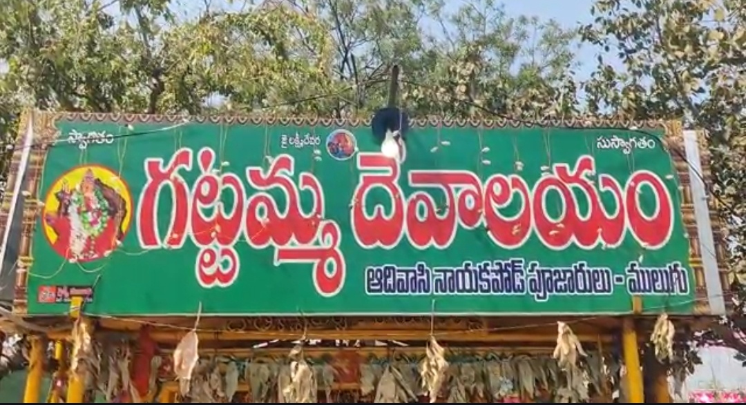 Gattamma | 24న గట్టమ్మ వద్ద షాపుల వేలం