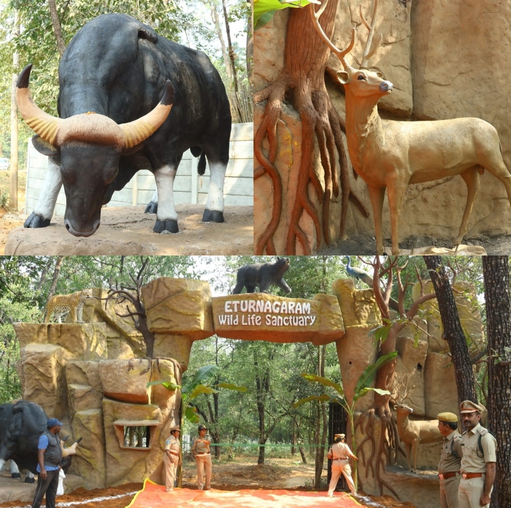 పర్యాటకులకు భూతల స్వర్గధామంగా ములుగు జిల్లా ప్రకృతి అందాలు