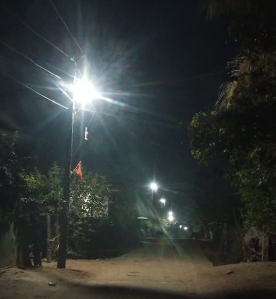 ధర్మారం గ్రామపంచాయతీ వీధుల్లో విద్యుత్తు వెలుగులు