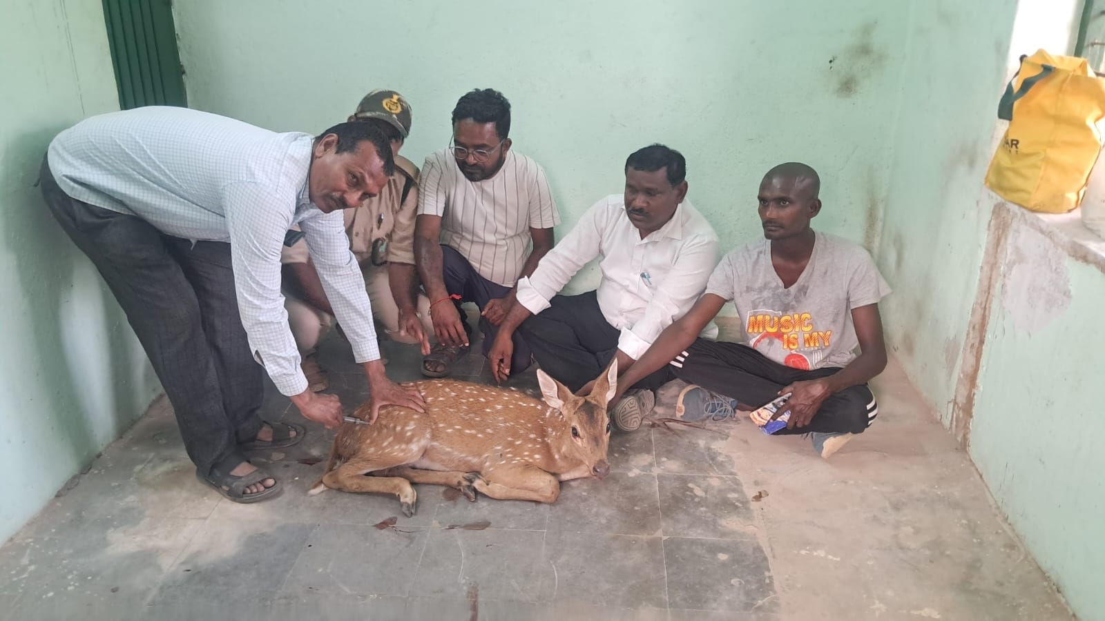 గాయపడిన దుప్పిని కాపాడిన ఎంఈఓ శ్రీనివాస్