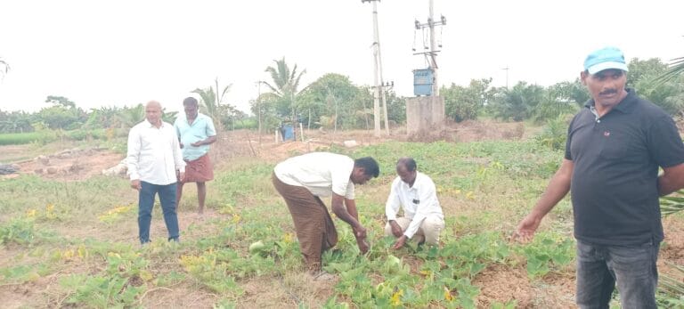 వెజిటబుల్ మిని కిట్ల పంపిణీతో రైతులకు అదనపు ఆదాయం