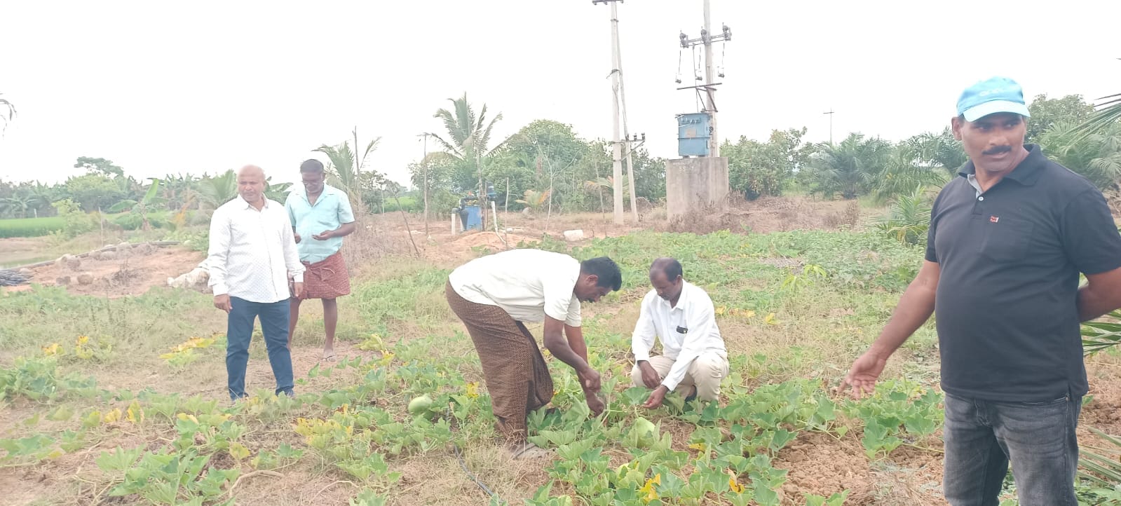 వెజిటబుల్ మిని కిట్ల పంపిణీతో రైతులకు అదనపు ఆదాయం