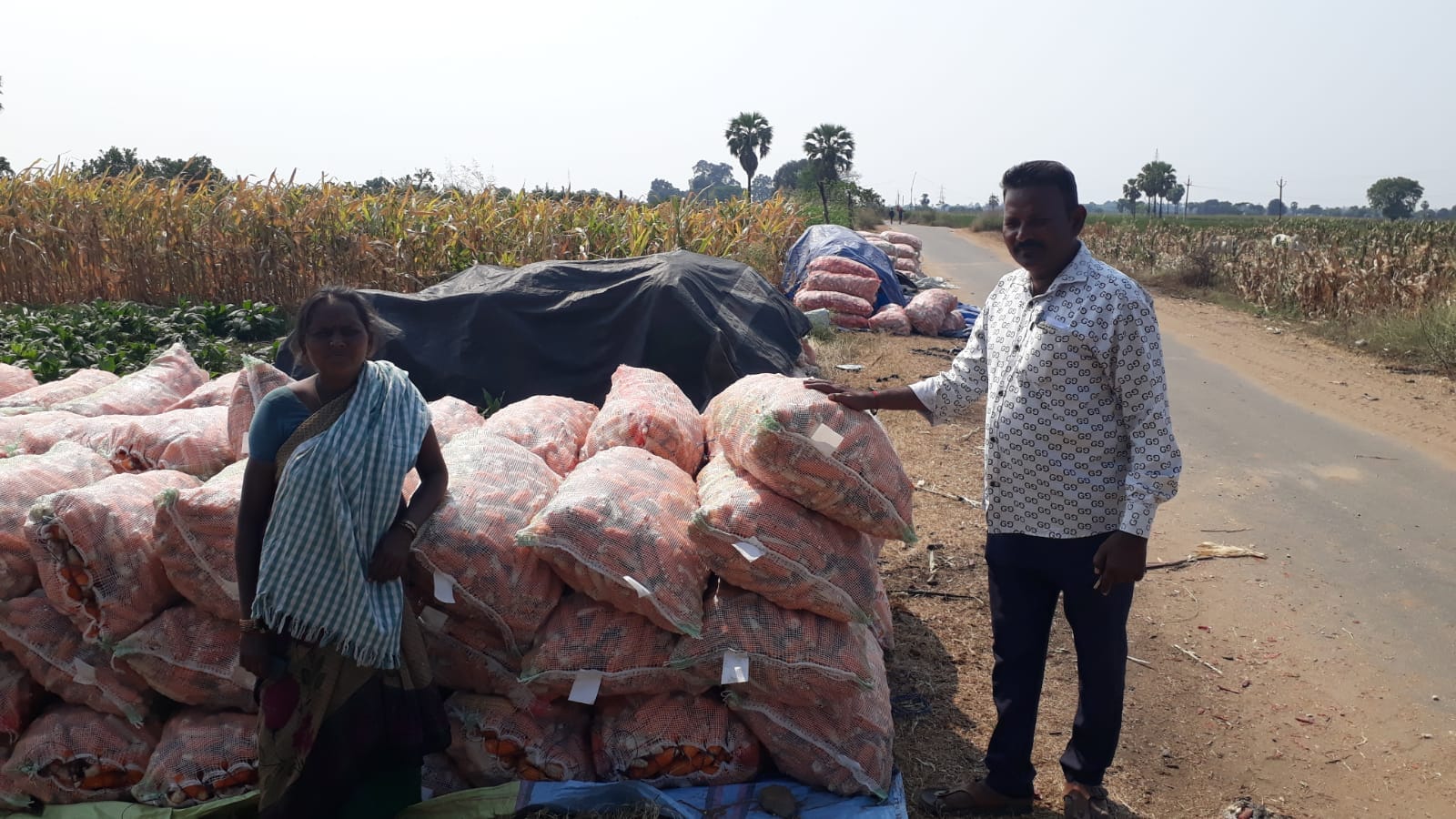 కాంటాలు ఆలస్యం… సి.పి మొక్కజొన్న రైతుల ఆందోళన...