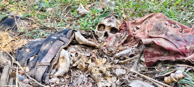 కంకలవాగులో గుర్తుతెలియని అస్తిపంజరం లభ్యం