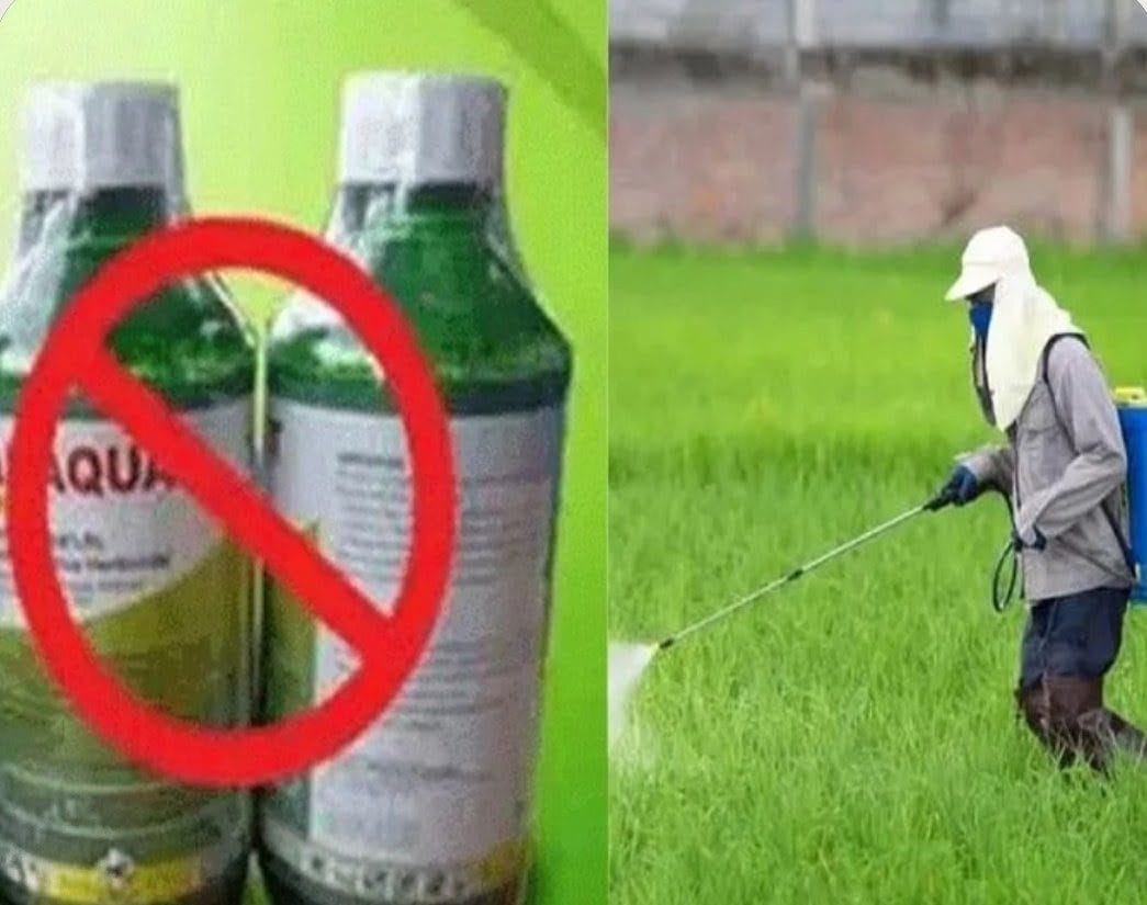 గడ్డిమందు పారాక్వాట్‌పై పూర్తి నిషేధం.. జీవో 24 విడుదల...